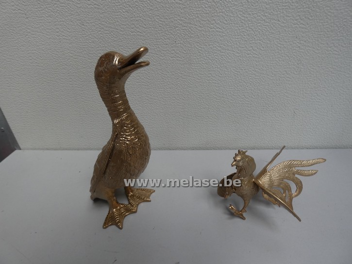 Siervogels "koper"