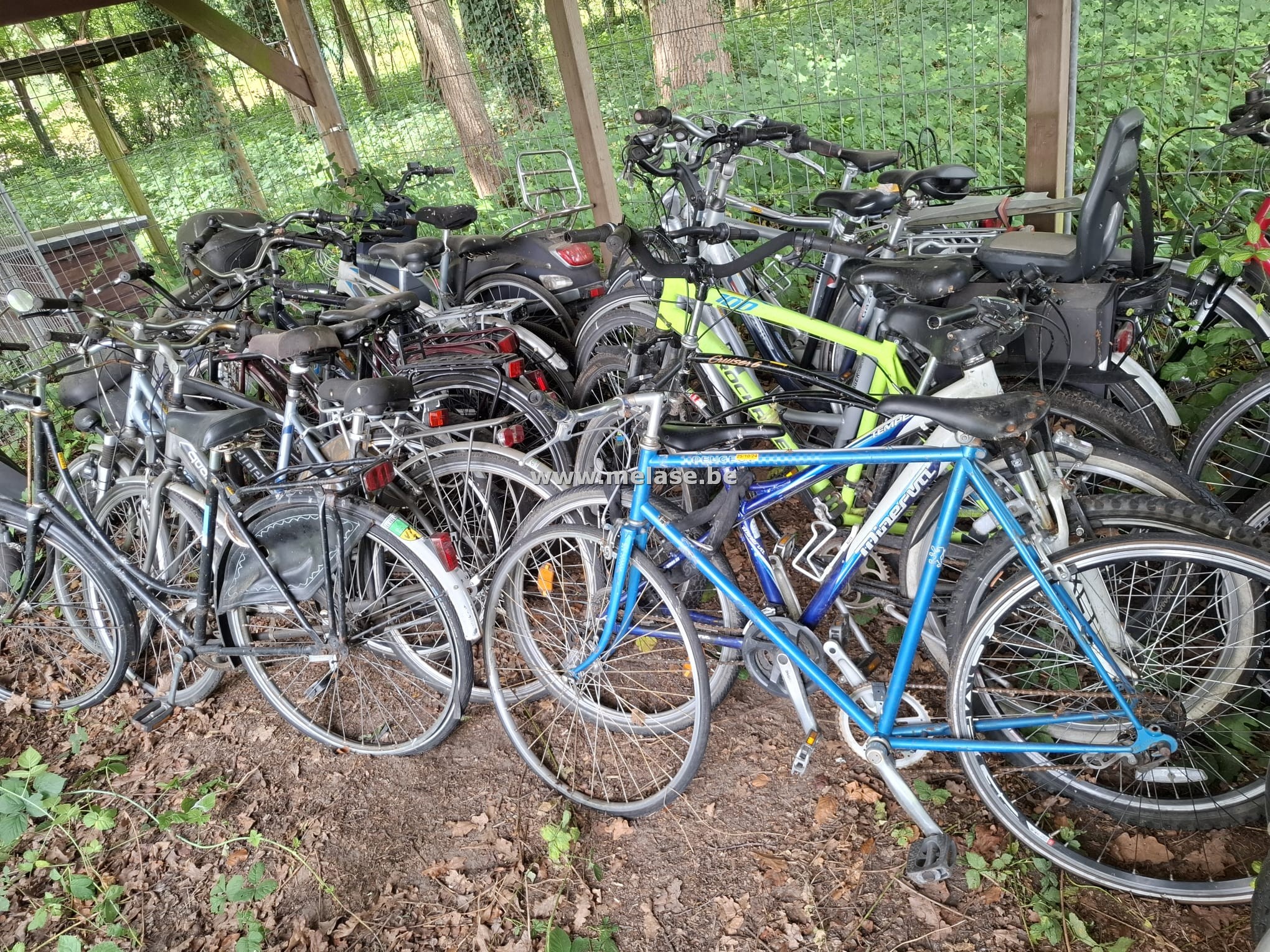 Fietsen